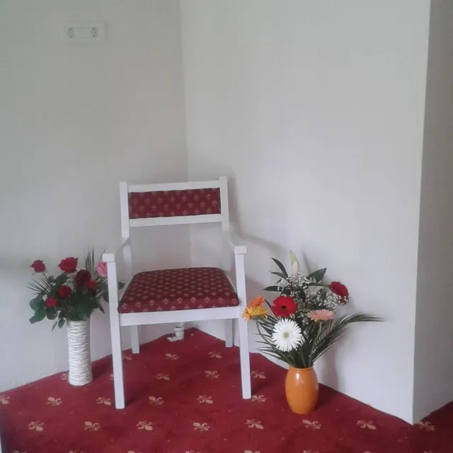 Fotoliu din lemn masiv Casa Avram — vedere din fata